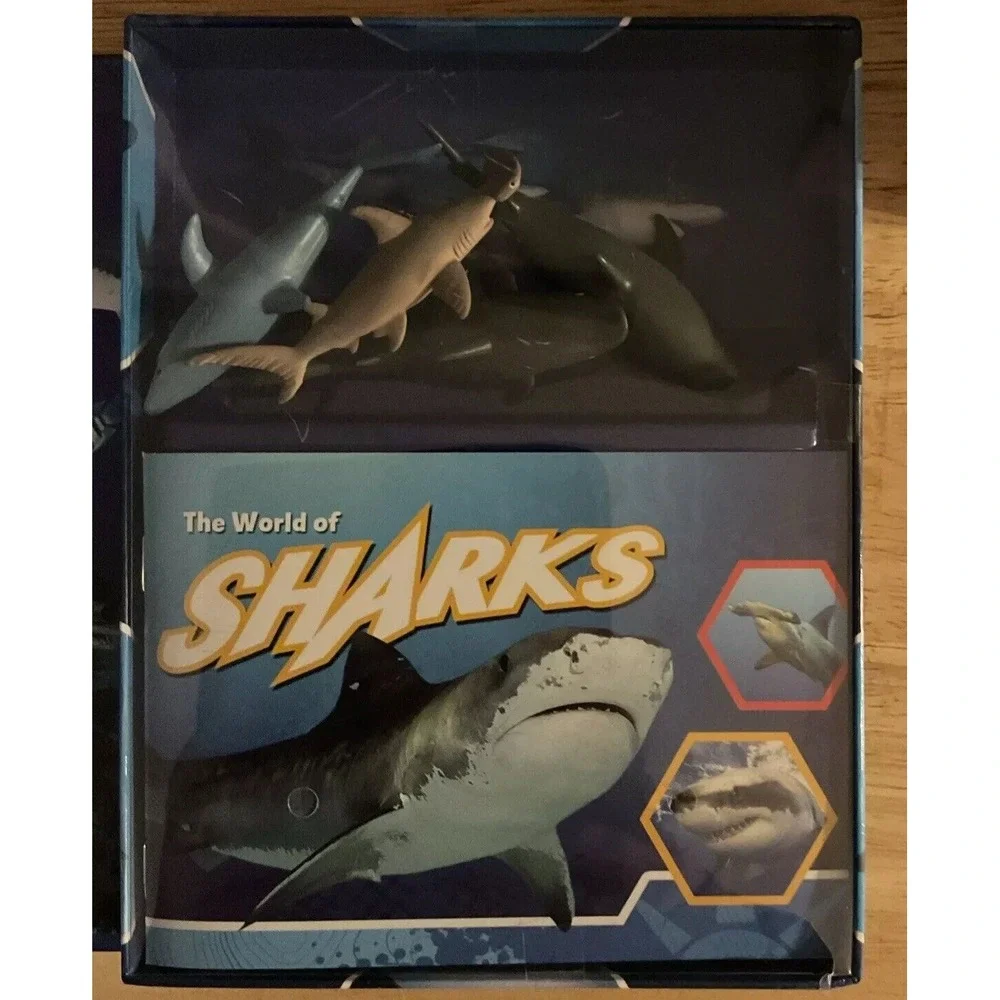 Pocket Explores Set Of 4 Book, Dinosaurs, Wild Cat,‎ Sharks, And Reptiles, 2021